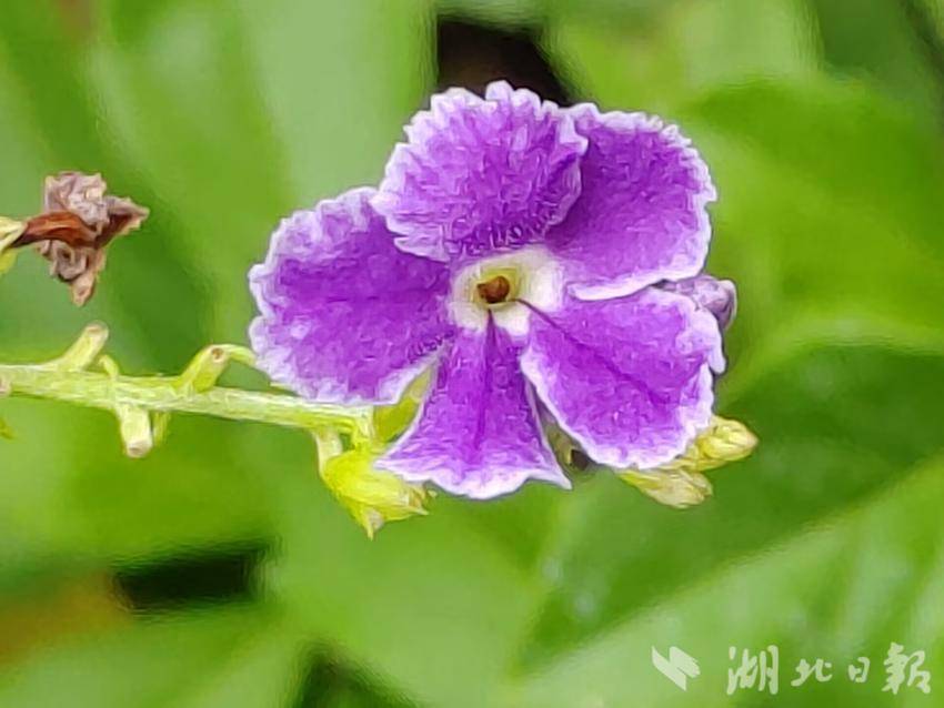 手机验证赠送彩金34的娱乐平台